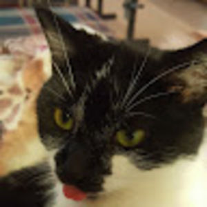 Meet your Posher, Holly
